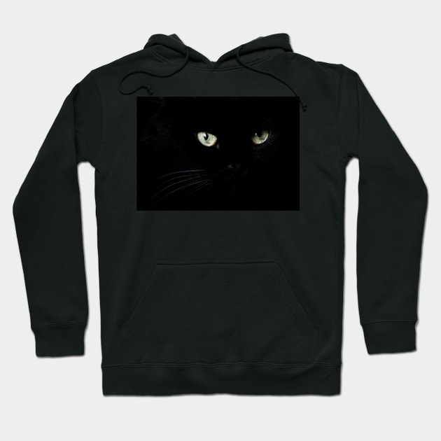 Black cat face and eyes Hoodie by EvgeniiV